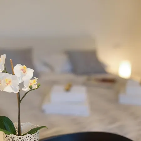 Apartment New Near 123 *